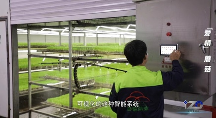 我有一根“蘑”法棒丨科创Z世代 人工智能基础软件开发