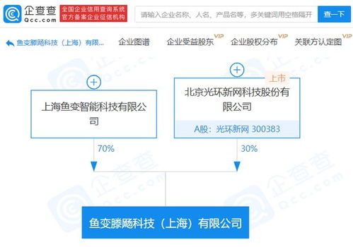 光环新网参股成立科技新公司，聚焦人工智能基础软件开发